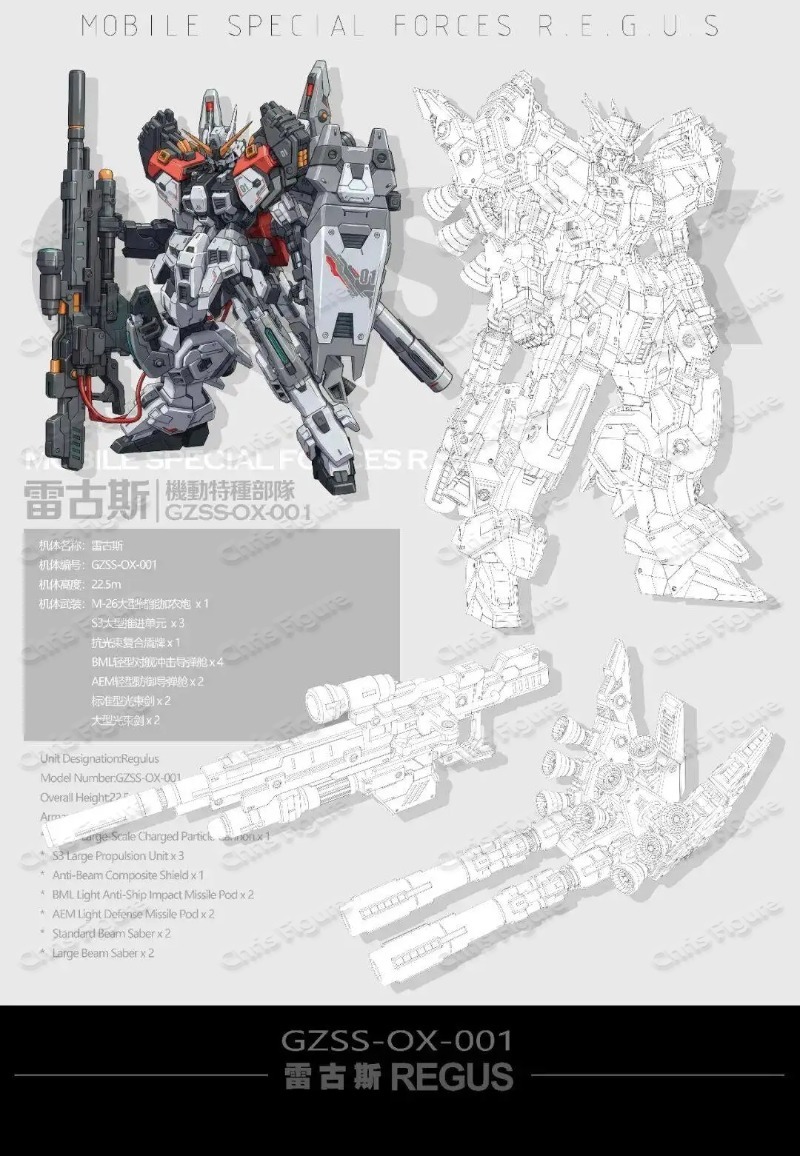 In Stock ZZA REGUS GZSS-OX-001 - Model Kit Regus recensione e prezzo
