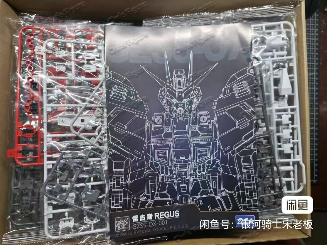 In Stock ZZA REGUS GZSS-OX-001 - Model Kit Regus recensione e prezzo